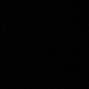 Meet your Posher, Daisy